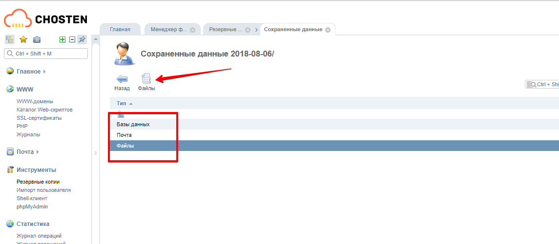 ПУ серверами CHOSTEN - Google Chrome 2018-08-06 18.55.05.png